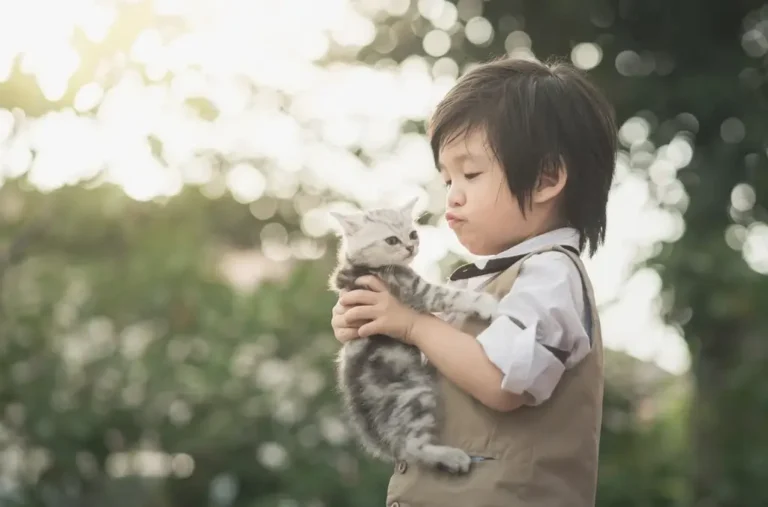 Animal World Day